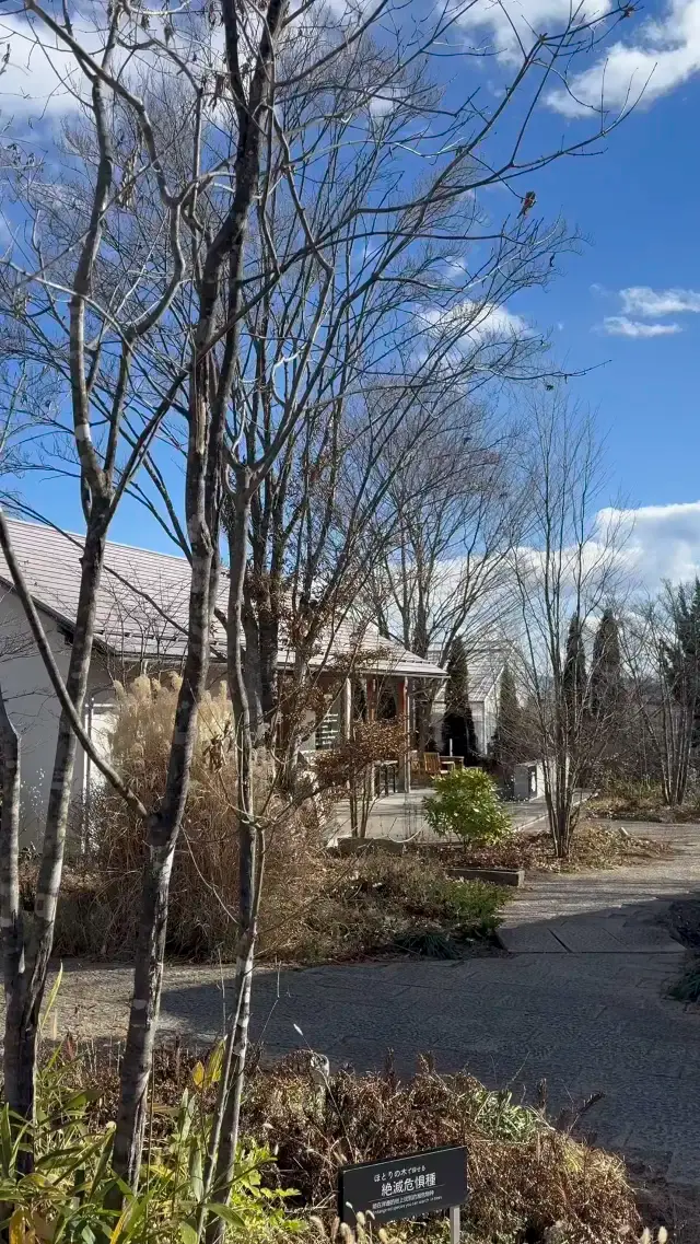 Picturesque Spot for Mount Fuji Views and Seasonal Flowers