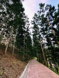 Breathe In, Bliss Out – Nature’s Escape at Taman Saujana Hijau!