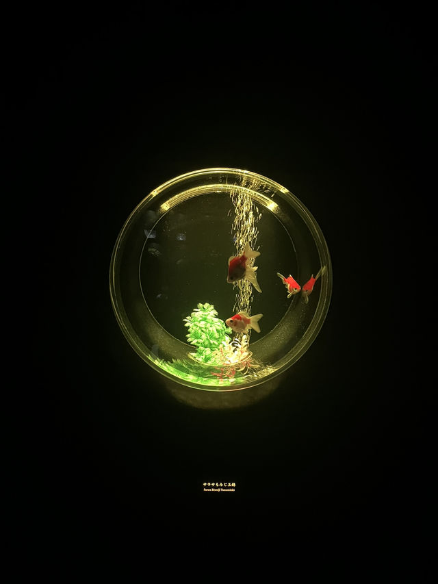 【銀座的夢幻秘境！藝術與水族的奇幻融合體驗🐠✨】