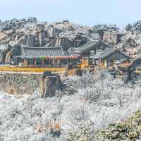 Daegu: Korea’s Secret Spring Sanctuary