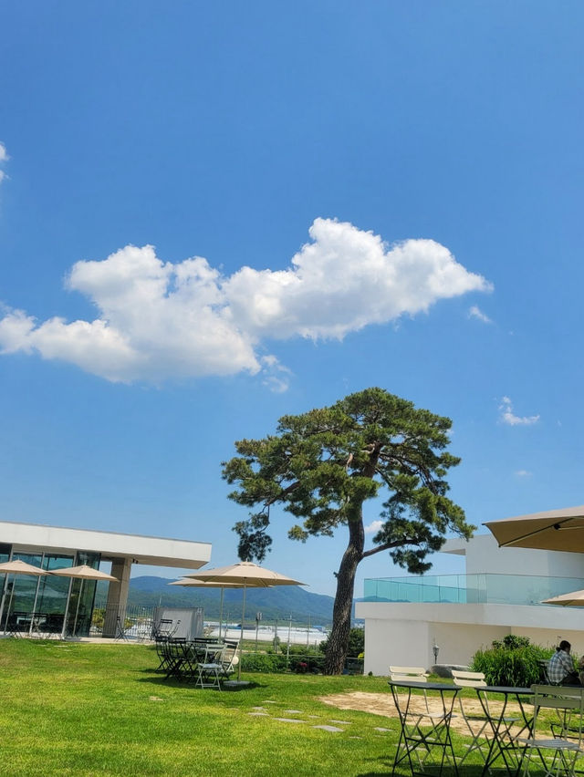 The Largest Cafe in Haman
