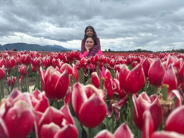 Our Abbotsford Tulip Escape: A Burst of Color