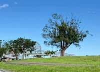 〔台東濱海公園〕藍天綠地大海一次擁有的療癒角落