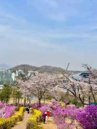 Wansan Park: A Floral Sanctuary in the Heart of Jeonju
