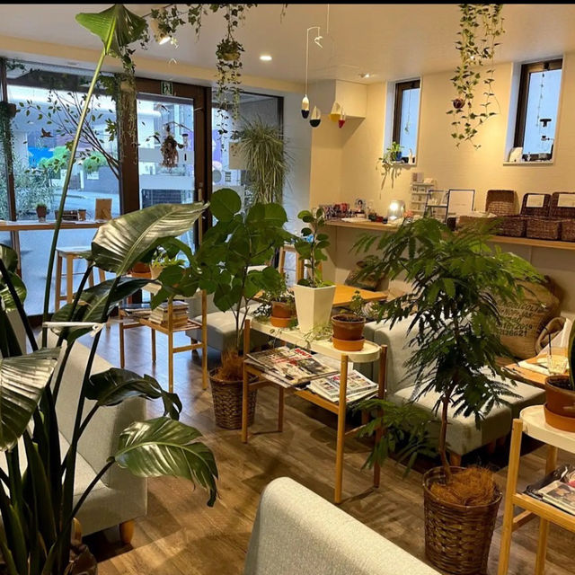 yama coffee