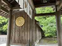 【靜謐之界】宮崎天皇神社⛩️遠離人間的寧靜