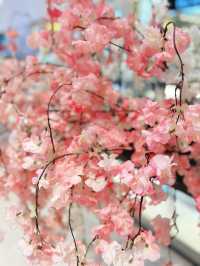 Sunset Petals at Akashi Park