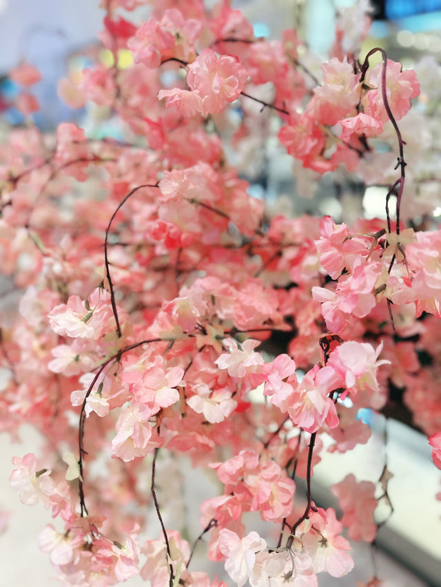 Sunset Petals at Akashi Park