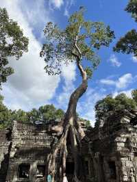 Angkor Wat: A Symbol of Cambodia’s Glorious Past