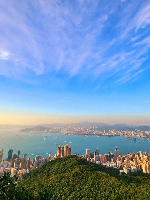 俯瞰維港壯麗景色打卡位 俯瞰維港壯麗景色打卡位