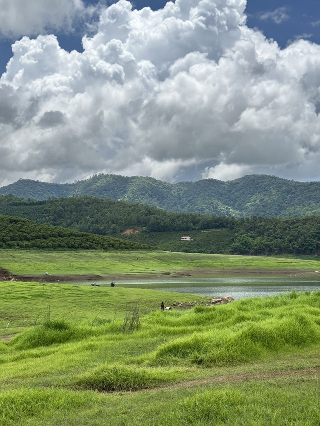 เขื่่อนบ้านลาน จ.เชียงใหม่ ⛰️🌳🌦️🐄