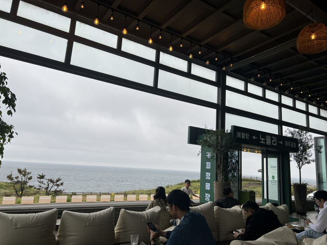 제주도 카페 투어 여행