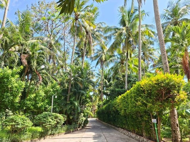 ที่พักหาดส่วนตัว Sea Star Resort✨️