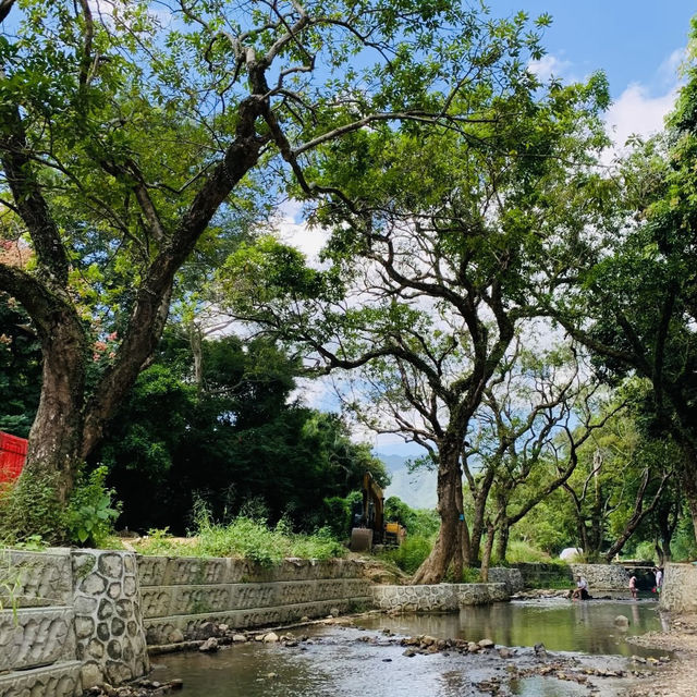 ～金山公園～端午節的綠意好去處～