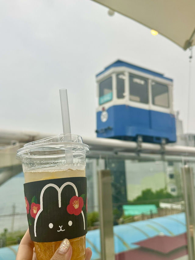 【釜山・海雲台】海を望む空中列車と絶景カフェ
