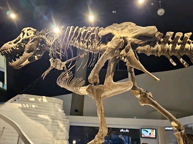 Warning: This Museum Will Make You Smarter! 