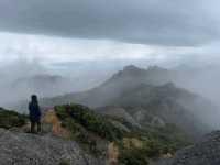 Where Mossy Trails Meet Epic Views