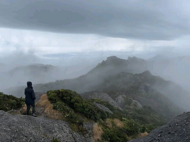 Where Mossy Trails Meet Epic Views