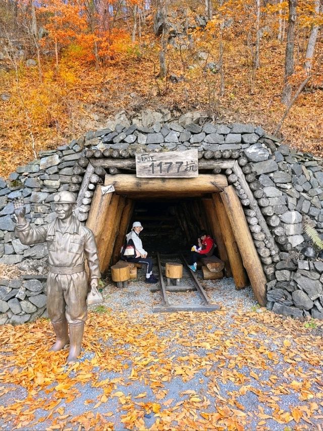 정선하이원가을하늘길트레킹여행🍁🍂