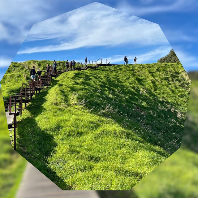 【NZ】🌿オークランド観光1日モデルコース🌊✨