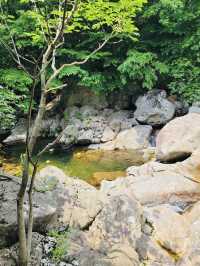The famous valley located in Gwangyang, Jeollanam-do.