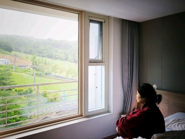 포레스트뷰 블루동 전객실 리뉴얼 [휘닉스평창]