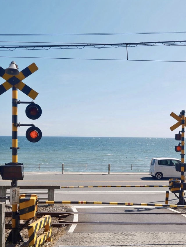 端午小旅行⛱️ 鐮倉一日遊小攻略🤪