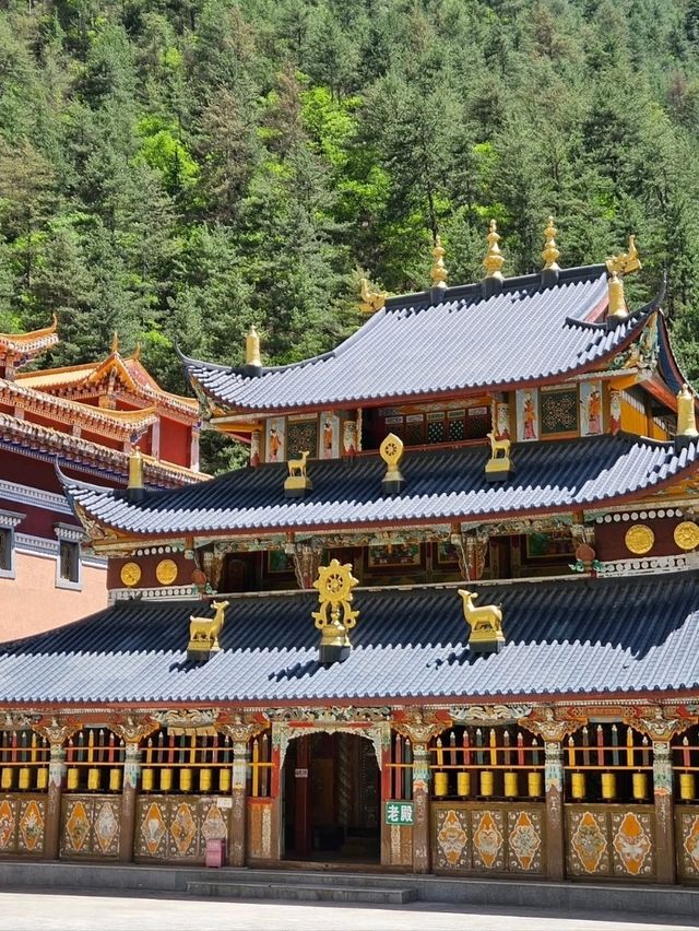 Spring Wanders in Jiuzhaigou’s Tibetan Villages
