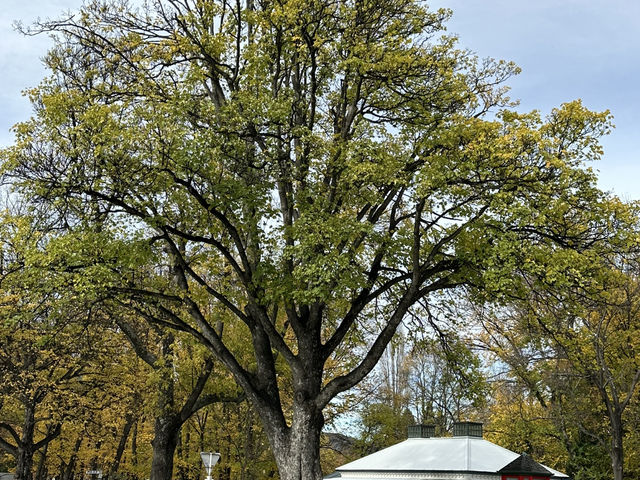 One of the landmarks in Arrowtown