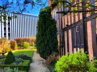 Whispers of Spring at Lady Herbert’s Garden & Cook Street Gate 