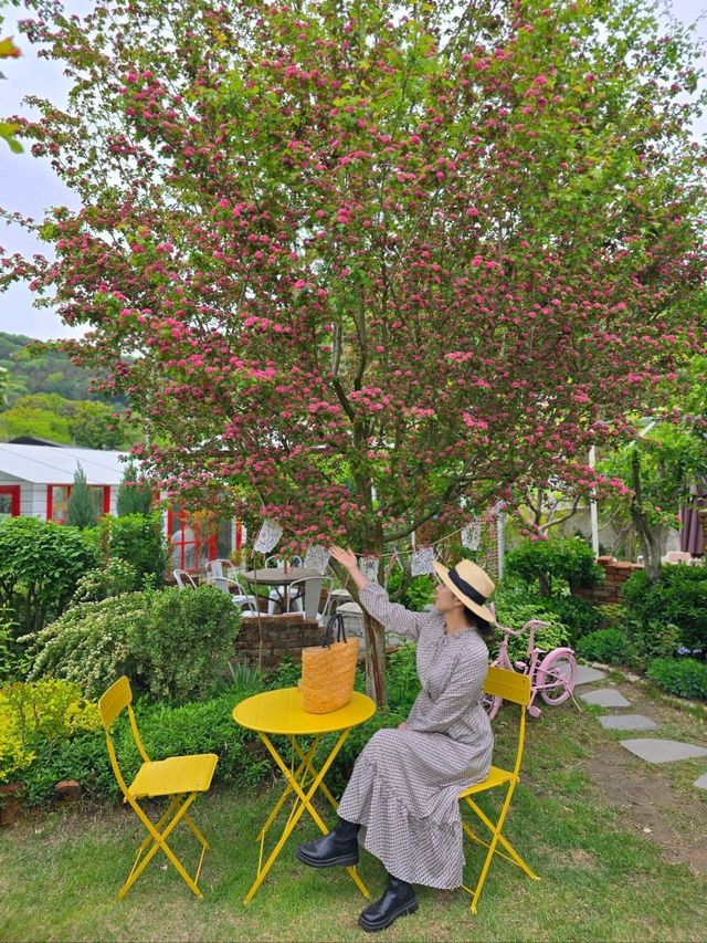 귀여운 대형 댕댕이가 있는 공주 정원카페💚