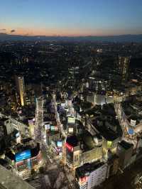 🌸 Tokyo in Full Bloom: My Unforgettable Sakura Season Adventure 🇯🇵