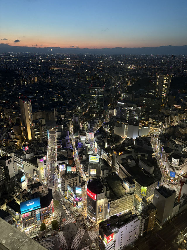 🌸 Tokyo in Full Bloom: My Unforgettable Sakura Season Adventure 🇯🇵