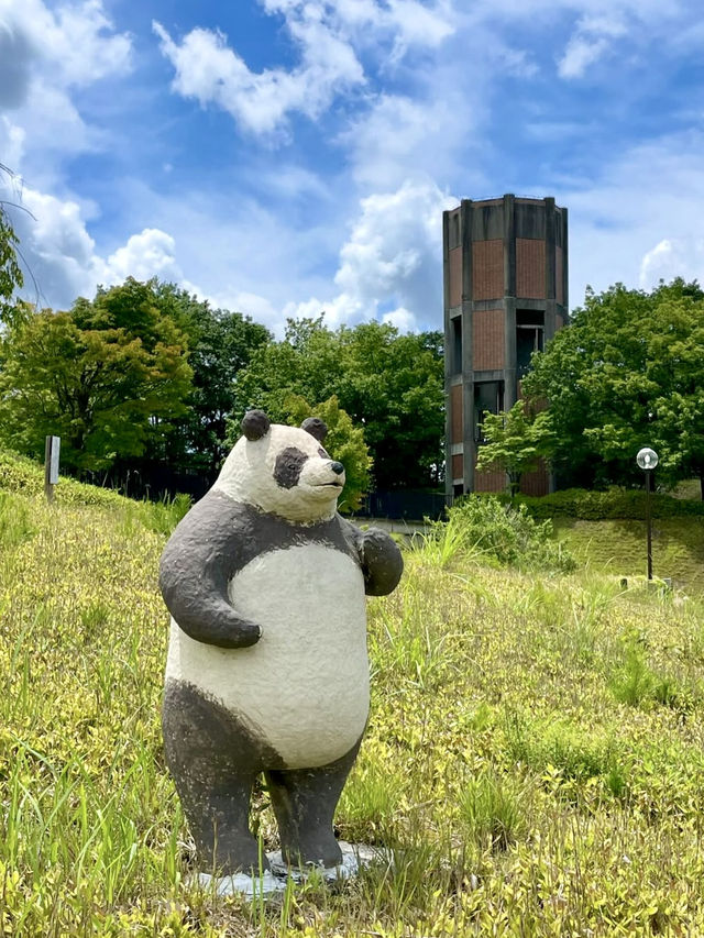 A Day of Adorable Art in Shiga 🐾