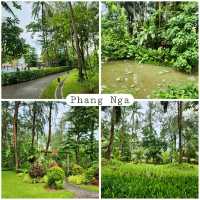 Avani+ Khao Lak Resort