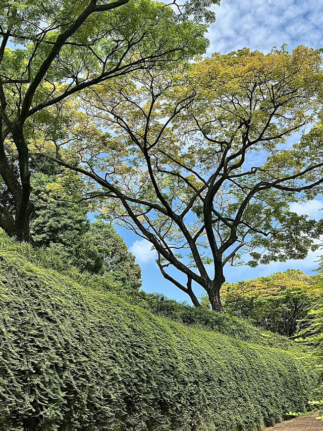 สิงคโปร์🇸🇬