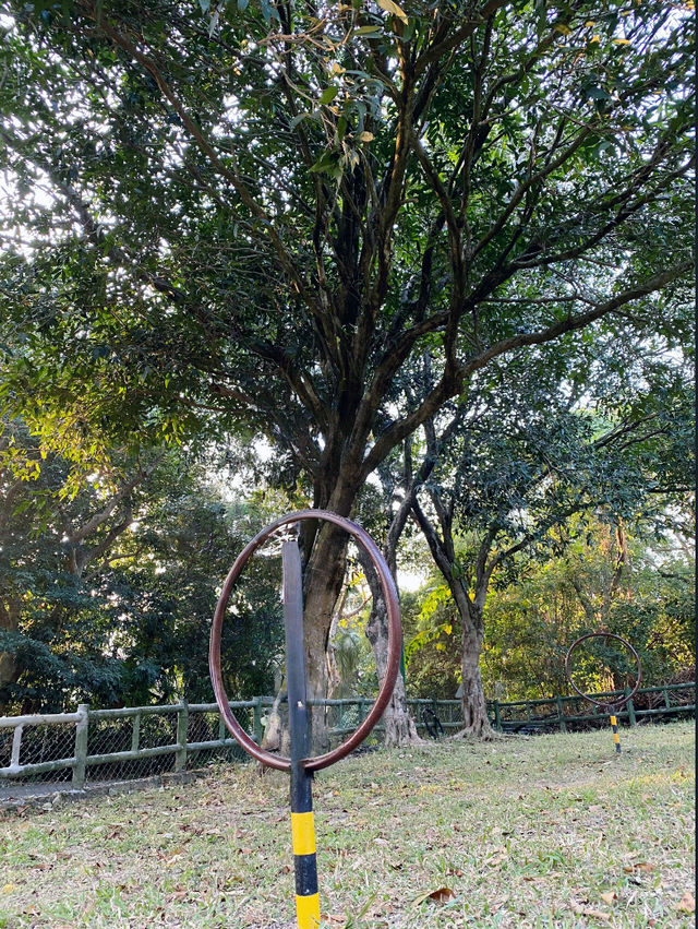 香港｜自然教育，野餐🧺，狗狗遊樂好去處.