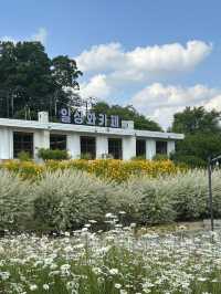 🏞️ 자연과 예술이 만나는 공간, 일상화카페