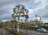 #日本關西廣域八天之旅 | 岡山 | 岡山城 