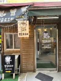🍯 구리카페 ‘벌꿀오소리’ 후기 🦡
