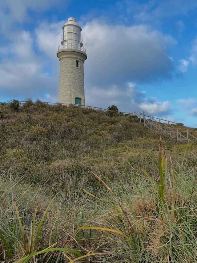🏝️ Rottnest Island, Perth – A Perfect Day Trip Escape 🌊🐾