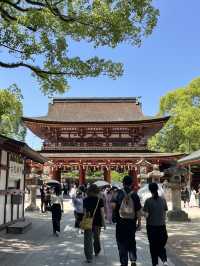 【福岡】⛩️太宰府天満宮 攻略ガイド
