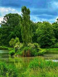 GreenHeartbeat – A Moment in Clara-Zetkin-Park, Leipzig