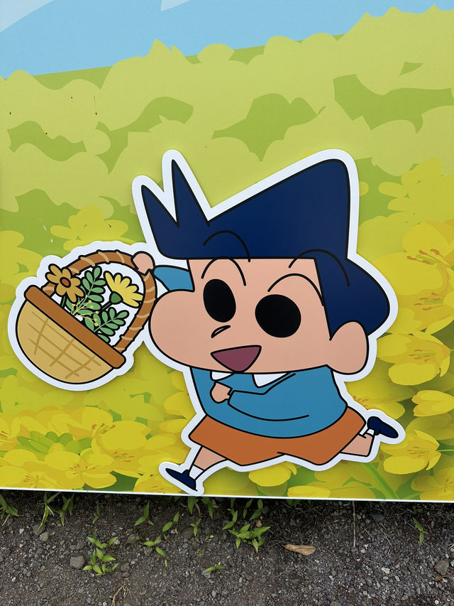 짱구 in JEJU🍊