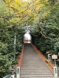 【仙台】国宝 大崎八幡宮