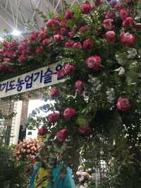 고양 꽃 박람회