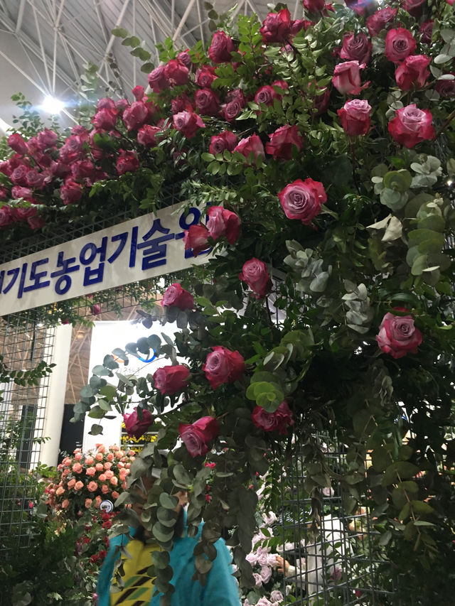 고양 꽃 박람회