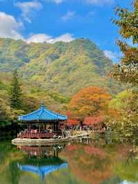 Sinsunbong at Naejangsan, Stairway to Heaven