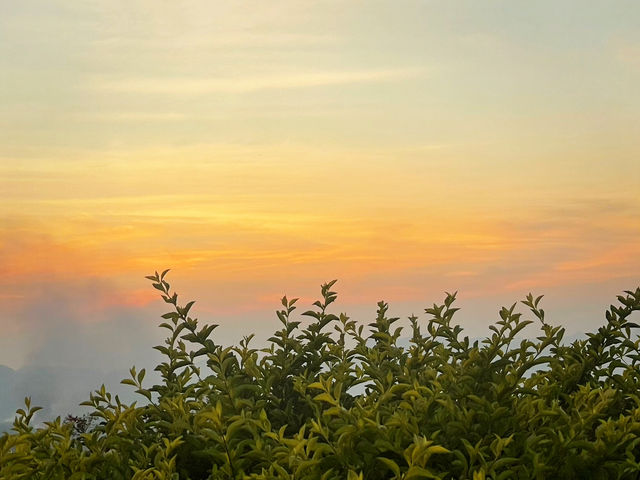 🌄☀️ มุมลับดูพระอาทิตย์ตก…ที่ปากแพรก 🌿 