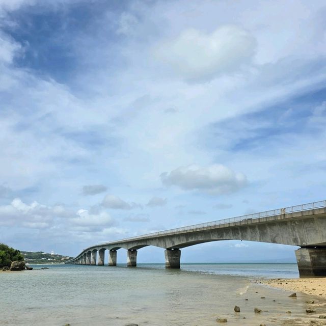 🐠오키나와 비세자키 (Bisezaki) 